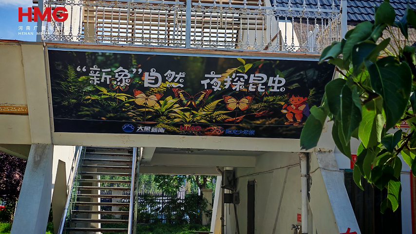 蝴蝶的三次重生！藏在新乡“阳光少年报·馨香书坊”里 - 图6