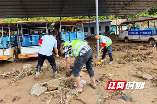与暴雨赛跑！中国太保筑牢汛期安全防线 - 图1