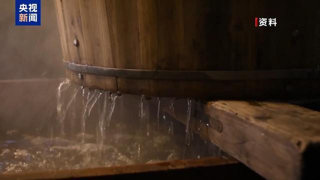 小麦被雨打湿还能吃吗？专业解读来了→ - 图2