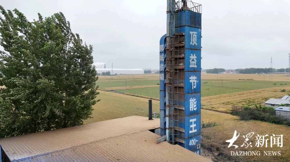 跨省越千里，烘干保收储 - 图2