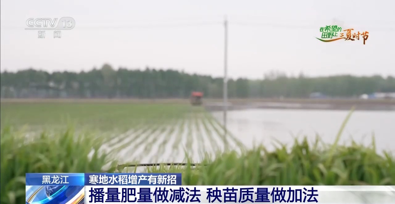 良法良种良机 寒地水稻增产新招让“不可能”成为现实 - 图4