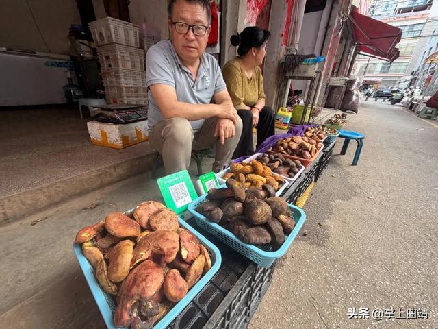 曲靖头水菌抢先上市！价格比去年划算 - 图1
