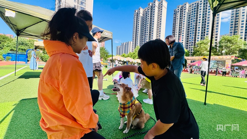 让萌宠遇见童心 北京市丰台区丽泽小学举办第二届宠物节 - 图2