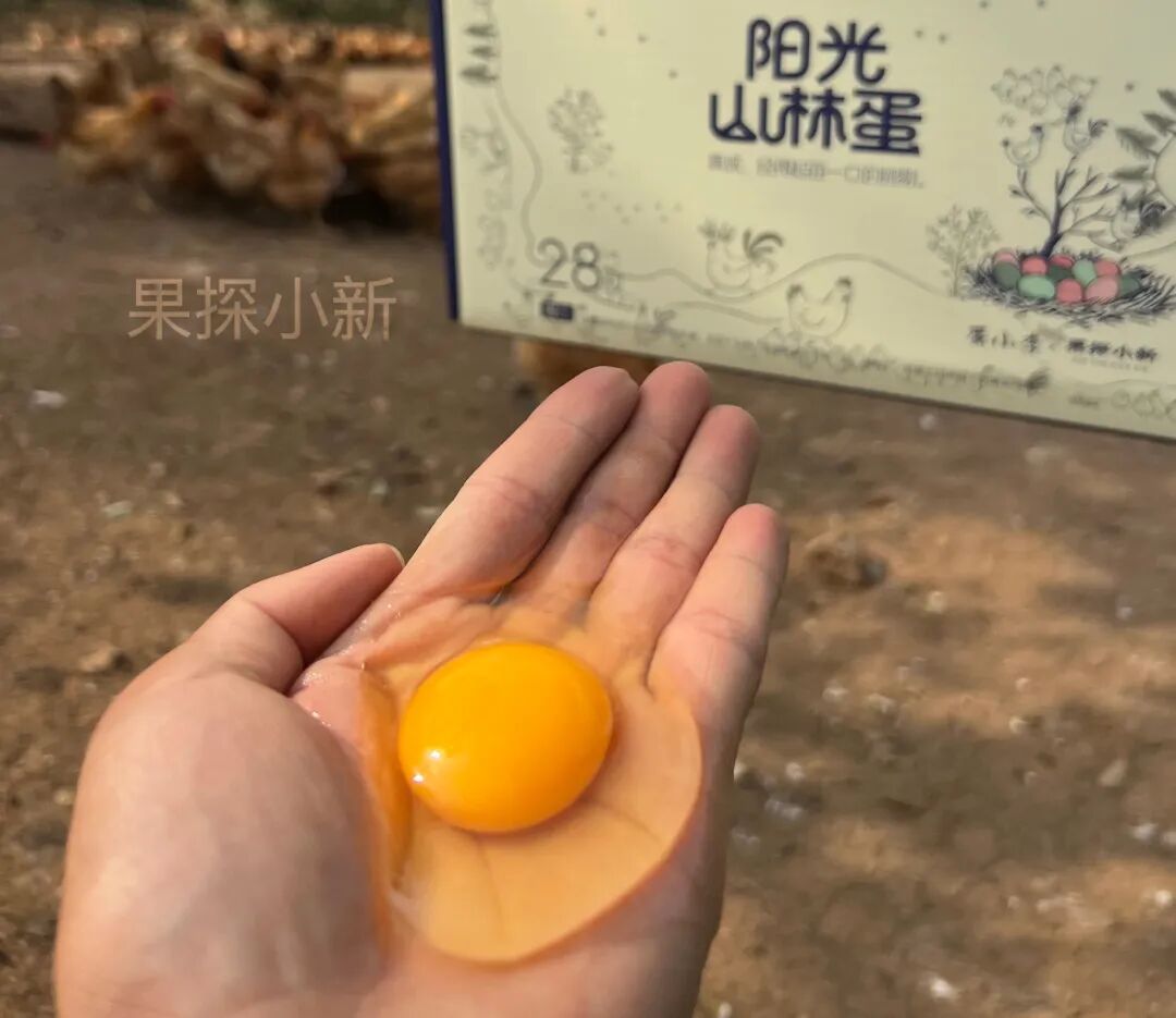 一枚带着泥巴和草渍的鸡蛋，反倒成了我们这最受欢迎的产品 - 图18