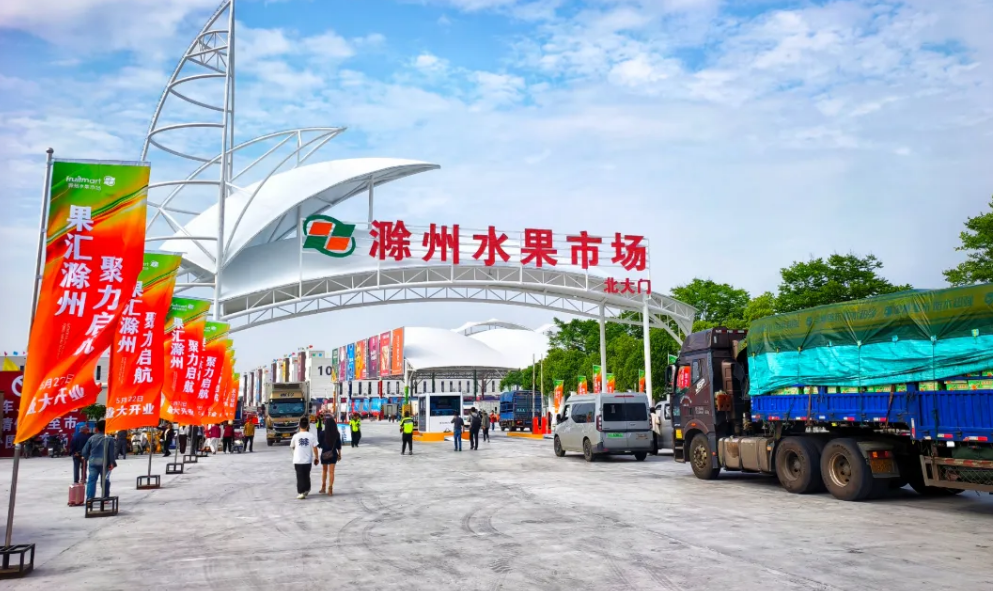 让市场竞争回归“凭实力说话”｜海音岱语 - 图4