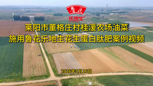 一肥六效，鲁花花生肽肥的化肥替代之路 - 图3