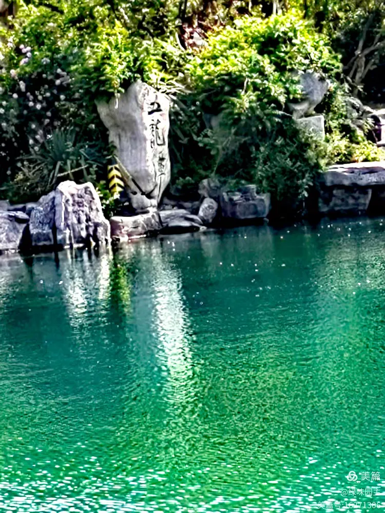 王济生诗歌 济南的六月 - 图1