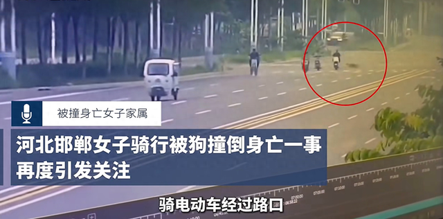 河北一男子遛狗从不栓绳，撞死人后将狗打死，否认养狗 - 图1