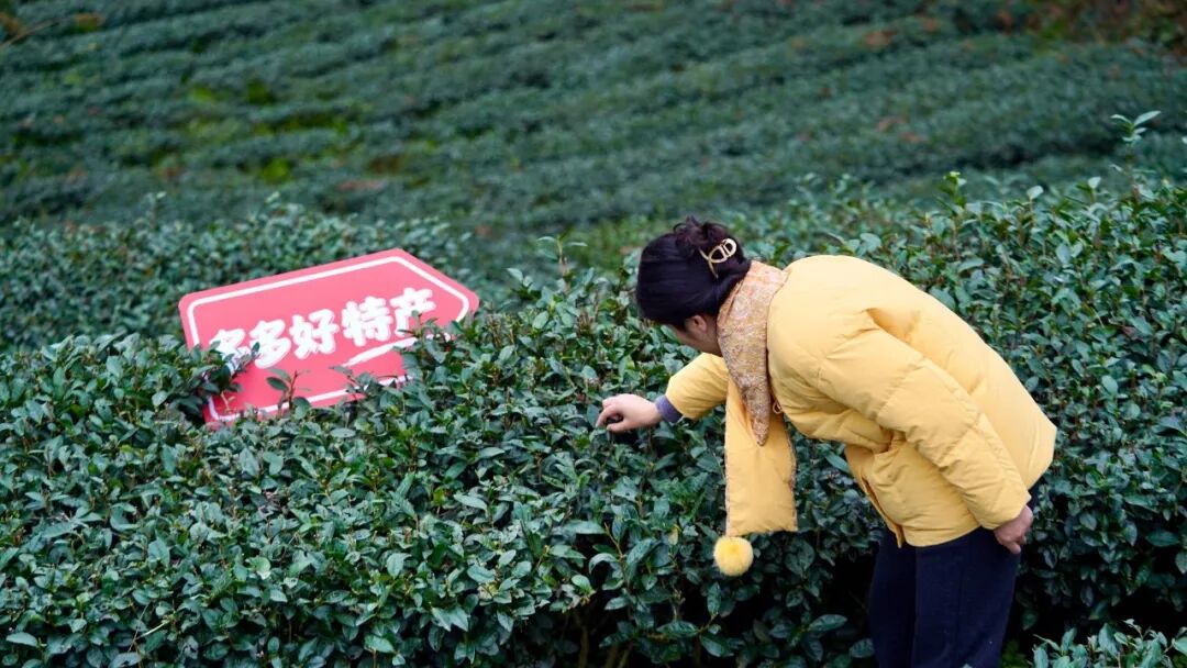 Temu拿下全球第二，新拼姆砸下150亿，拼多多正再造一个“拼多多” - 图4