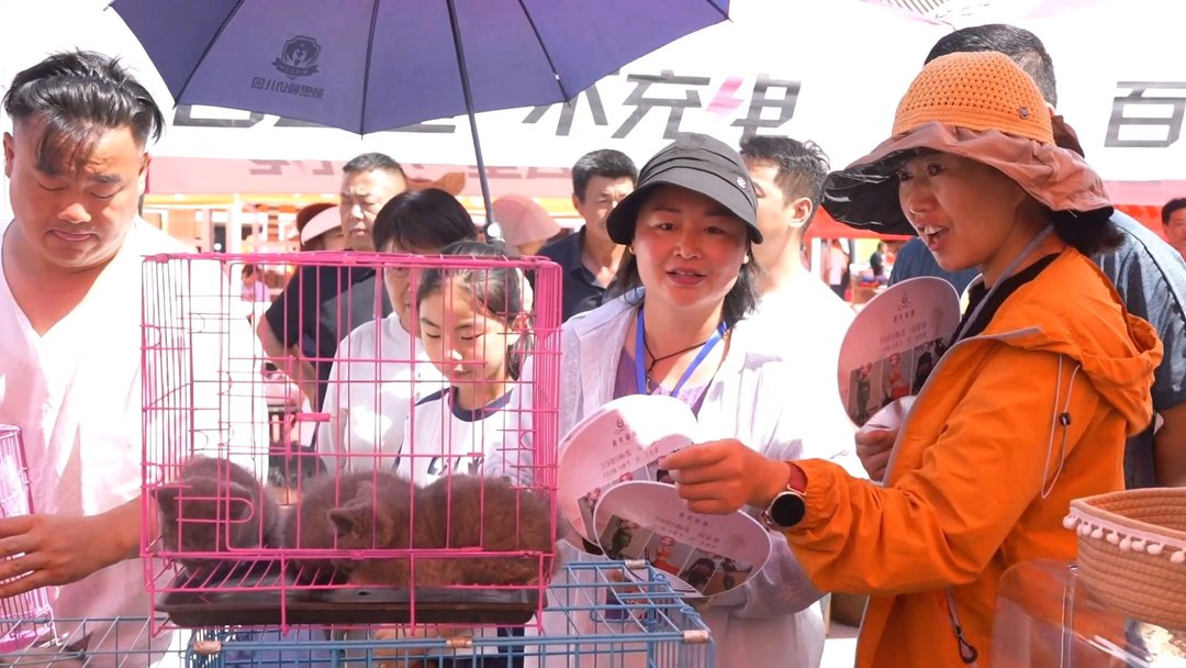 单日万人参会！曹县宠爱全球宠物用品展狂揽8000+订单 - 图2