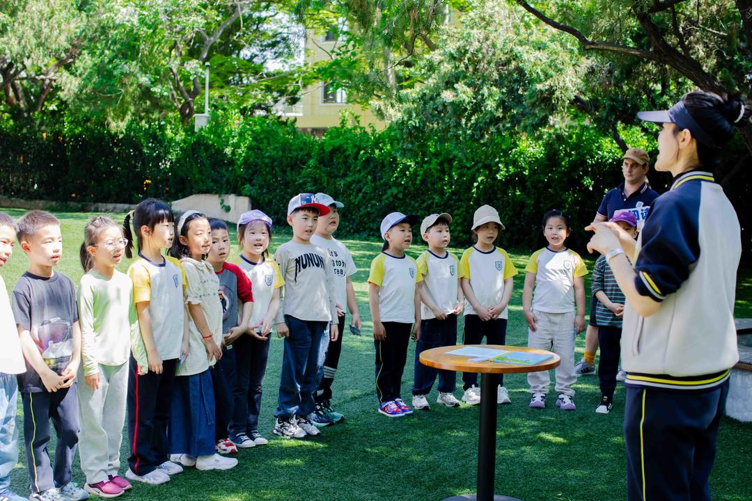 旧书焕新传书香、绿植伴读共成长！市南区举行“伴读绿芽成长纪”旧书置换活动 - 图3