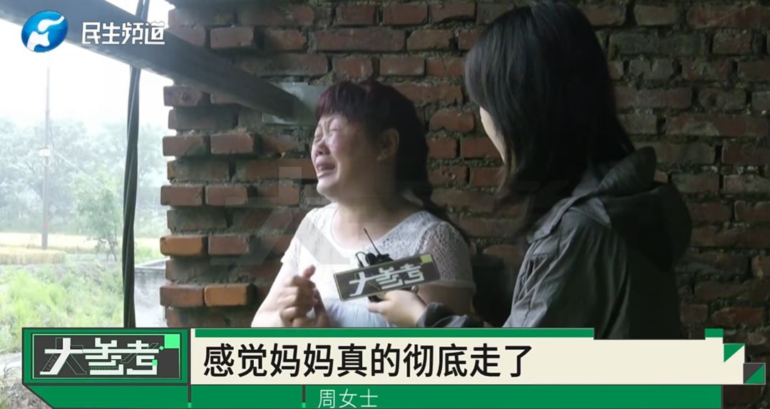 “感觉妈妈彻底走了！”女子20年老宅被亲戚擅装光伏板，母亲种的树全被砍 - 图9