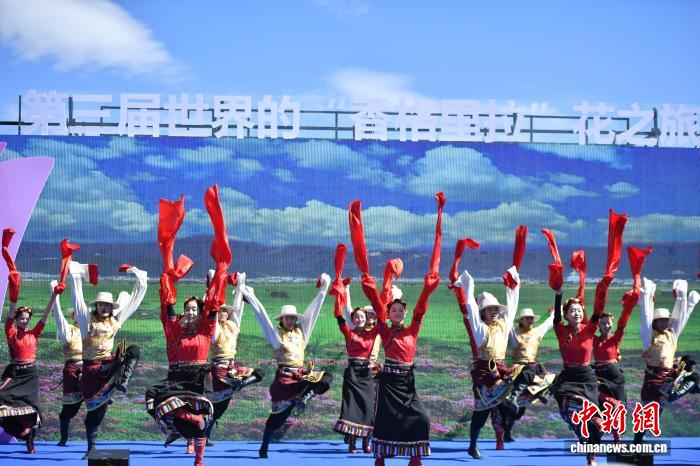 “香格里拉”花之旅启幕 邀游客共赏雪域高原万紫千红 - 图3