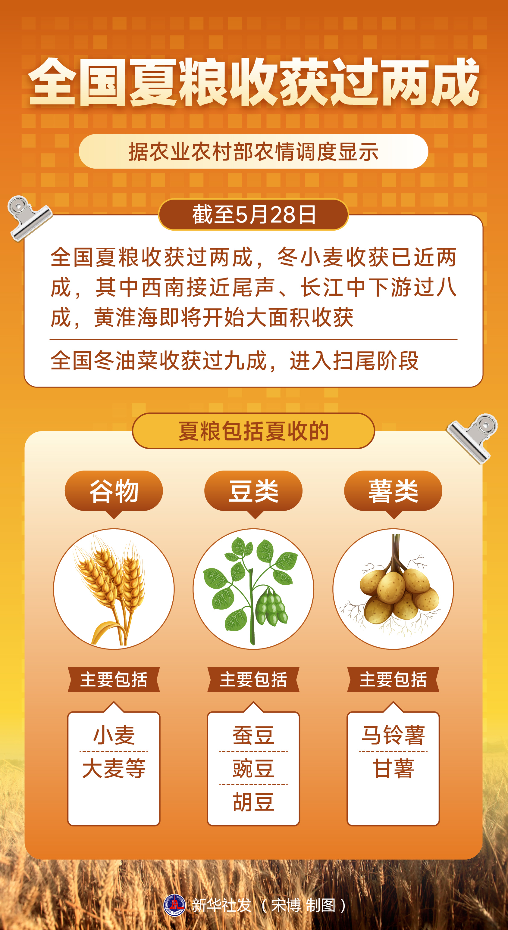 （图表）全国夏粮收获过两成 - 图1