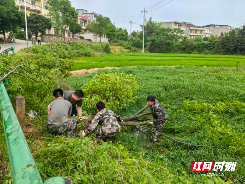 安仁县渡口乡：消除弯道“盲区” 守护百姓出行 - 图2