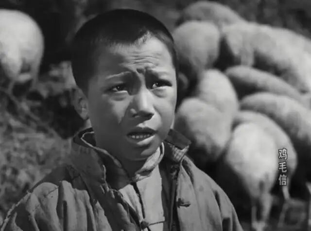 知名男演员蔡元元去世！作品家喻户晓 - 图4