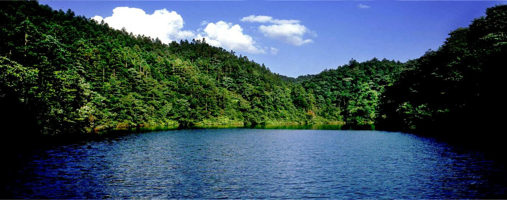 瀑布之下喝咖啡 悬崖之上走丹霞 江津四面山的文旅焕新之路 - 图13