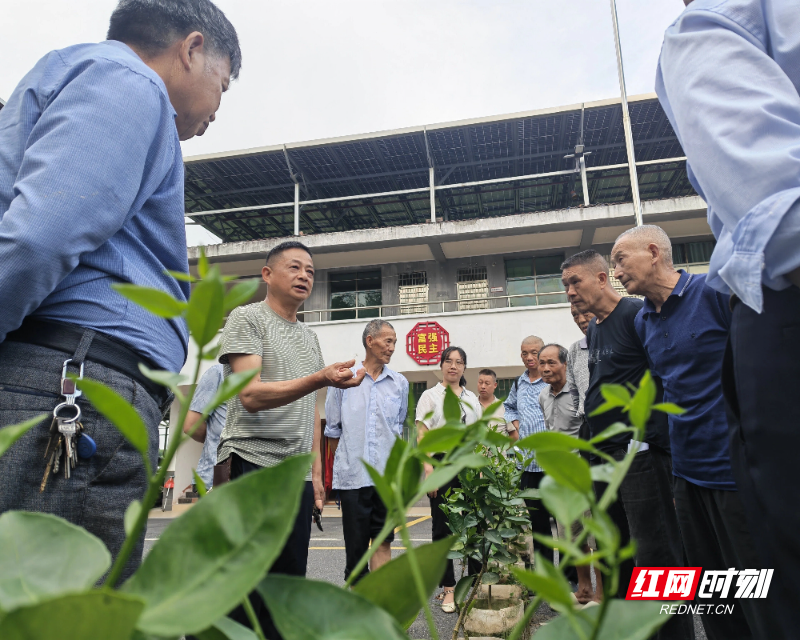 资兴市：送技下乡 助力冰糖橙产业发展 - 图3