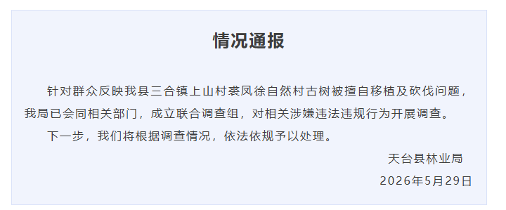 600年古树被指为73亿省级工业园区让路后死亡，当地通报：已成立联合调查组，将依法依规处理 - 图2