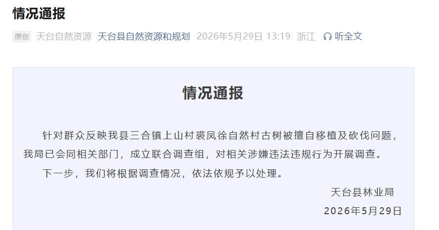 给工业园区腾地，浙江天台600年古树被擅自迁移后死亡，镇领导欲用60万元掩盖真相，官方通报：成立调查组对相关涉嫌违法违规行为开展调查 - 图1