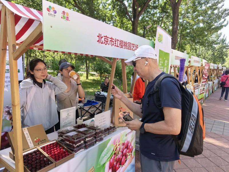 持续五个月！北京全民采摘季开幕，百座果园串联城郊田园乐趣 - 图2
