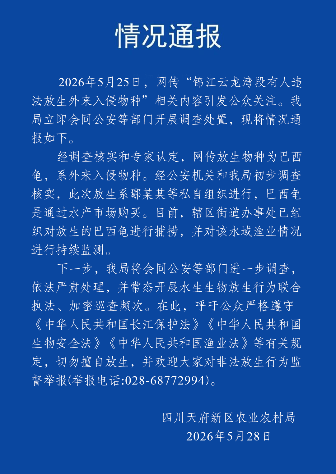 官方通报“成都锦江有人放生入侵物种巴西龟”：系鄢某某等私自组织进行，巴西龟是通过水产市场购买，已组织捕捞 - 图1