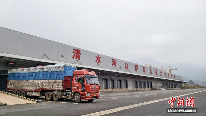缅甸香蕉首次经清水河口岸进口 中缅果贸再上新 - 图2