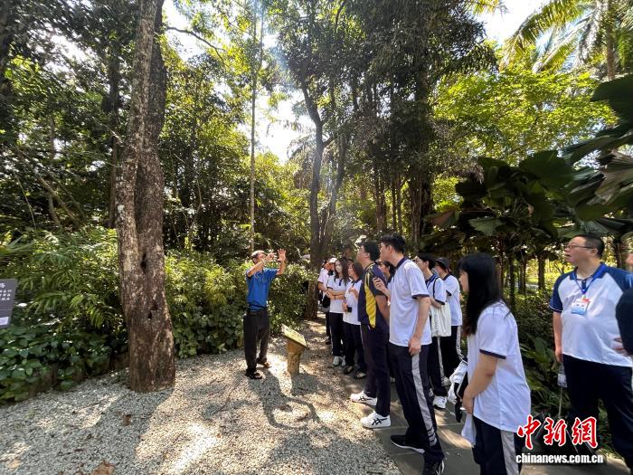 邂逅海南热带奇珍 澳门学子探秘兴隆植物“大观园” - 图2