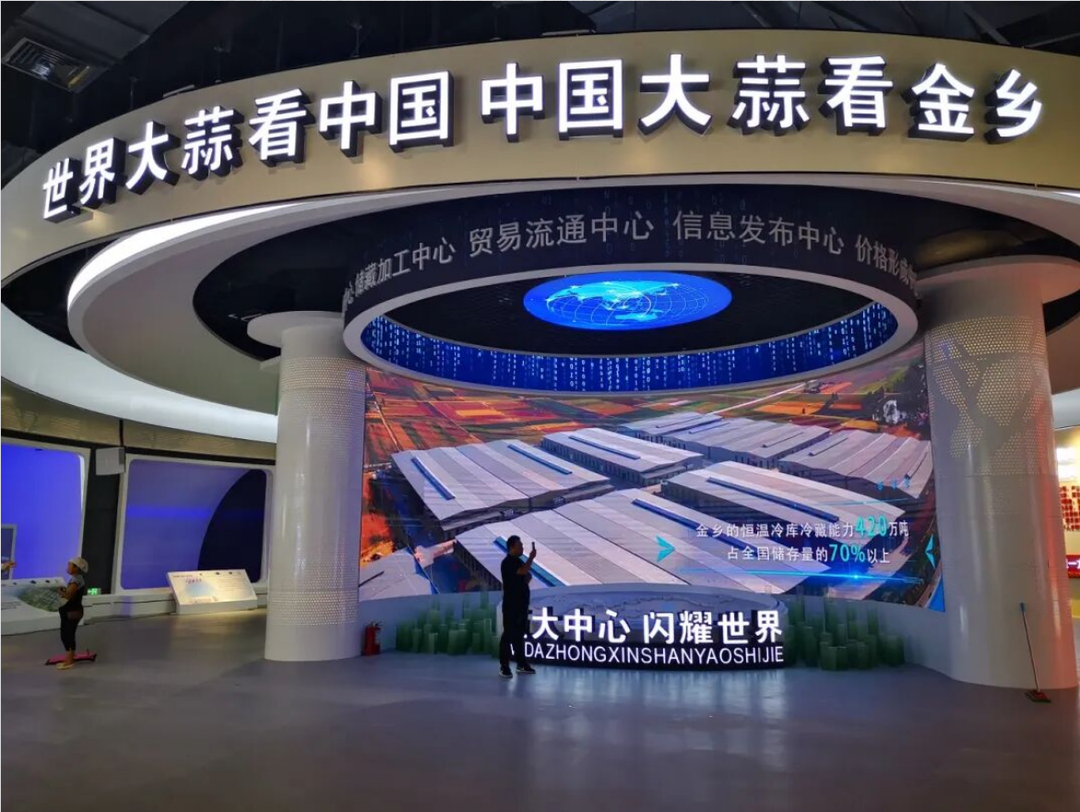 三联通一升级！超56%金乡大蒜出口至“一带一路”国家 - 图1