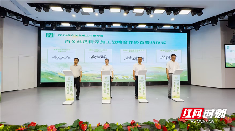 新鲜上市！2026白关丝瓜推介会落地长沙，双地标丝瓜解锁产业新玩法 - 图3