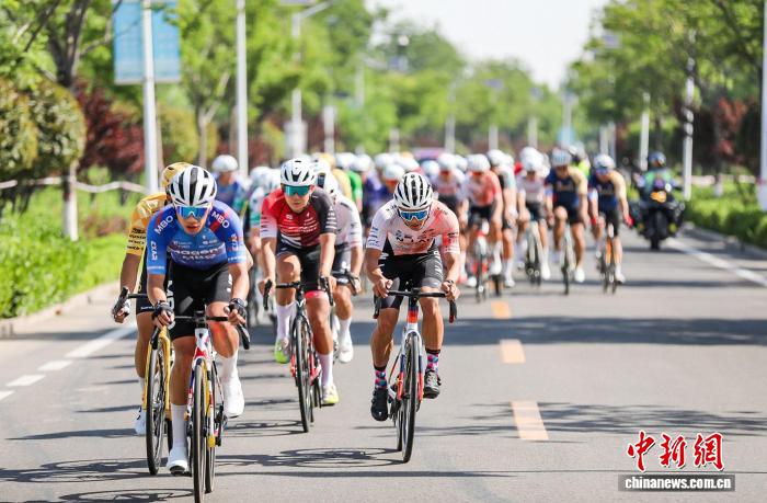 2026中国公路自行车公开赛（衡水站）鸣枪开赛 - 图1