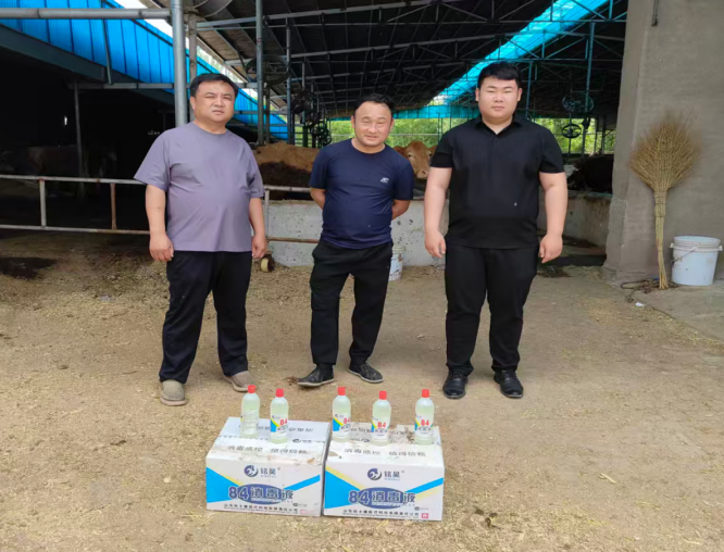 践行惠农初心，阳光财险阳信支公司筑牢肉牛养殖防疫防线 - 图1