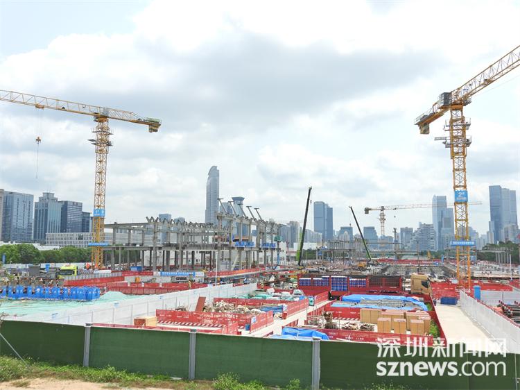 匠心筑城⑰｜湾畔筑梦 与自然共生 深圳红树林湿地博物馆彰显 福田生态建造标杆成色 - 图5