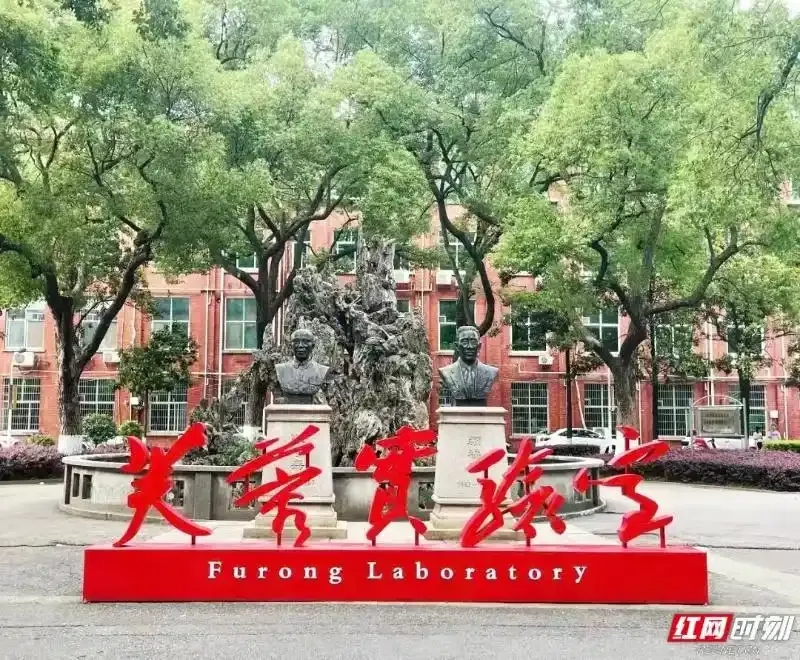 观潮的螃蟹丨脑机接口，湖南怎么接？ - 图7