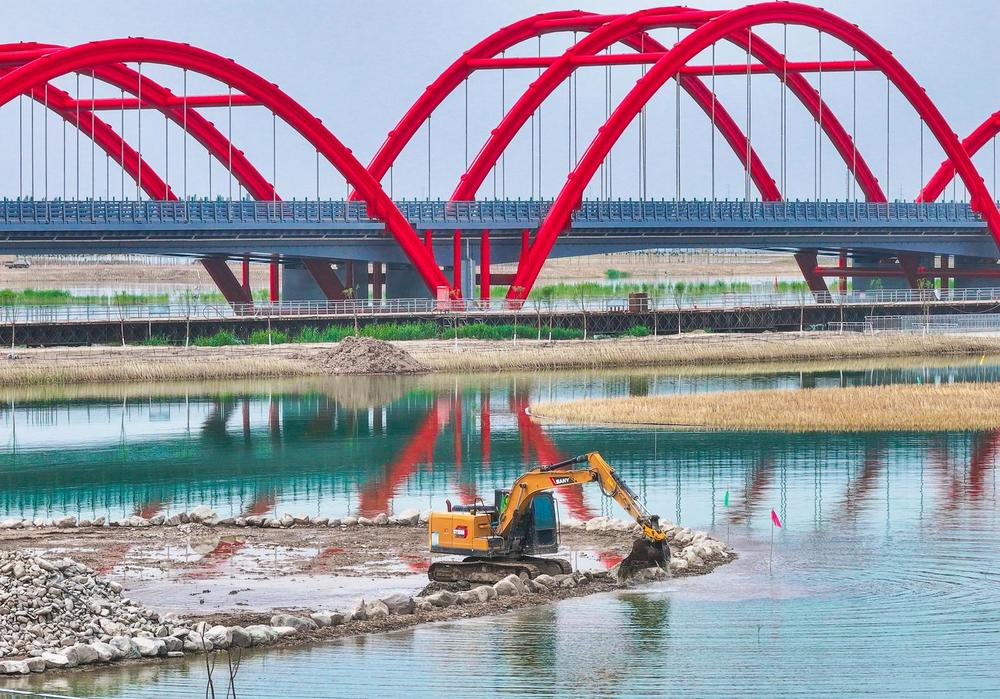 阅海九号湖生态修复提速 塞上湖城再添生态明珠 - 图4