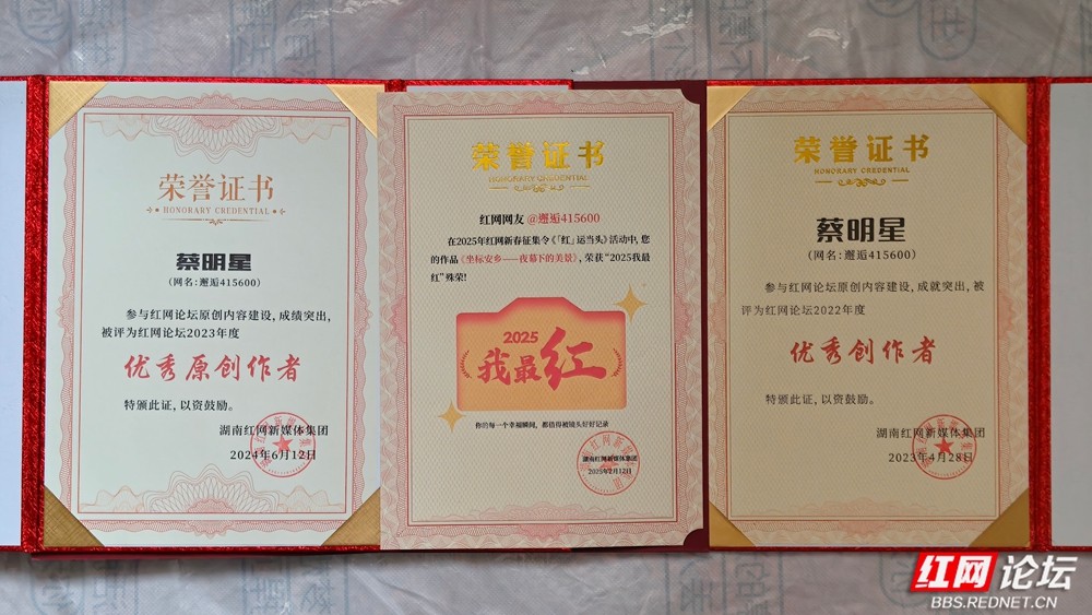 以笔为犁镜头为眼：我与红网相伴的成长答卷 - 图7