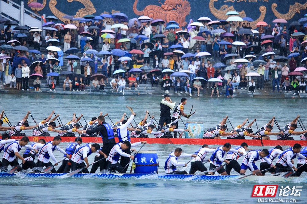 一江激流，万众欢腾：麻阳传统龙舟邀请赛的“烟火”与“激情” - 图2