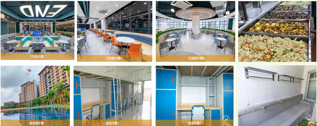 深圳全体中小学、幼儿园家长注意啦！2026深圳夏令营即将开营！不限户籍，今日起可报名 - 图5