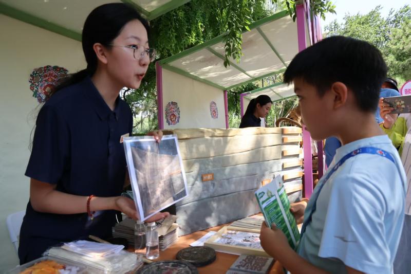 周末去陶然亭，“园游游”带您科普游园！ - 图3