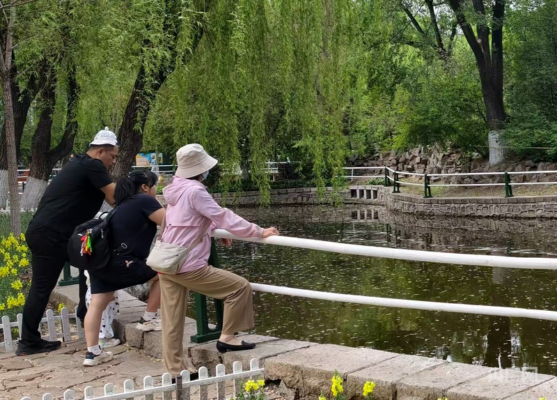 跟着镜头游龙江｜兆麟公园：全国城市中心罕见鸳鸯家园 - 图5