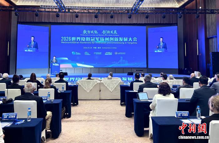 中德隐形冠军齐聚扬州 数智赋能共促产业链深度融合 - 图1
