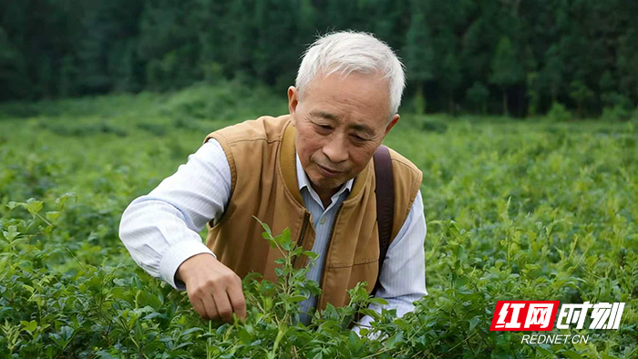 第十个全国科技工作者日｜黄宏全：半生为“莓” 一心为民 - 图1