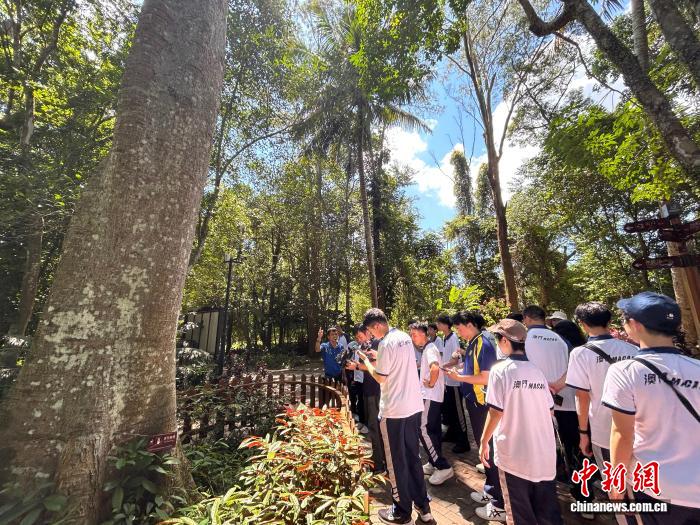 邂逅海南热带奇珍 澳门学子探秘兴隆植物“大观园” - 图1