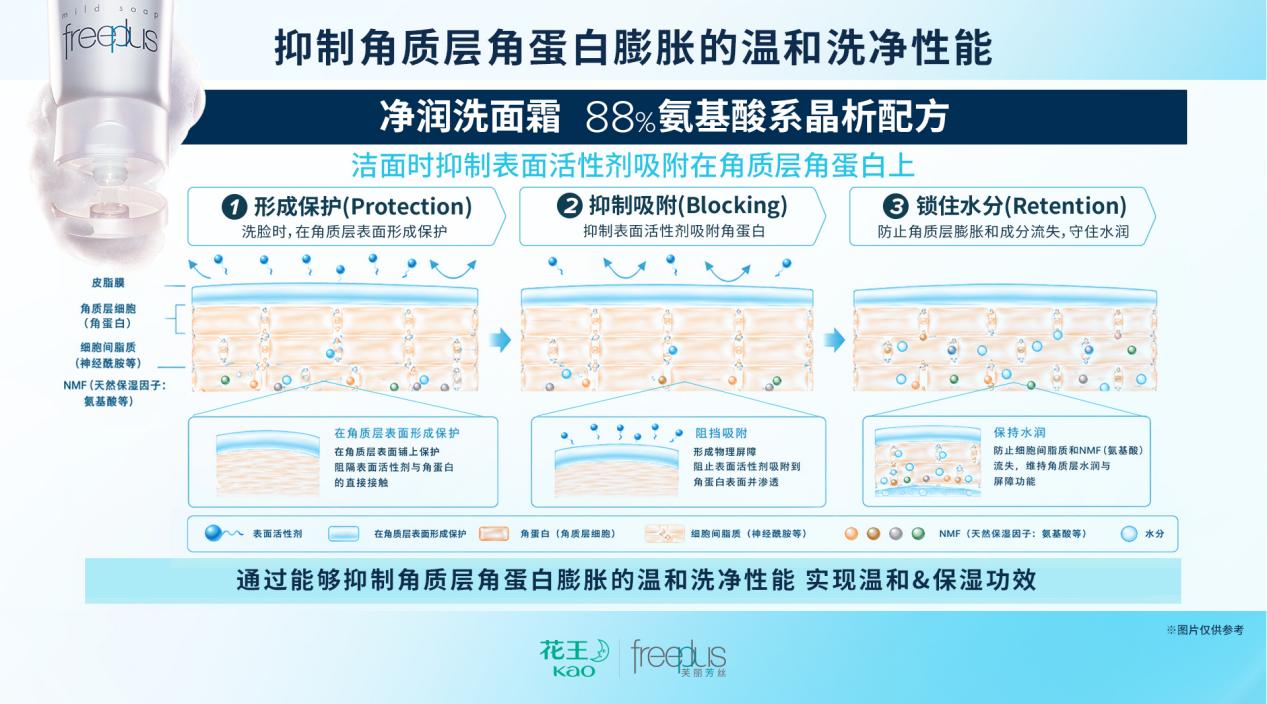 从市场引领迈向科学定义，重塑清洁护肤底层逻辑｜花王集团旗下芙丽芳丝发布“肌源氨基酸”最新研究成果 - 图4
