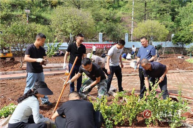 宣威乐丰：全面掀起绿美建设热潮绘就生态宜居画卷 - 图3