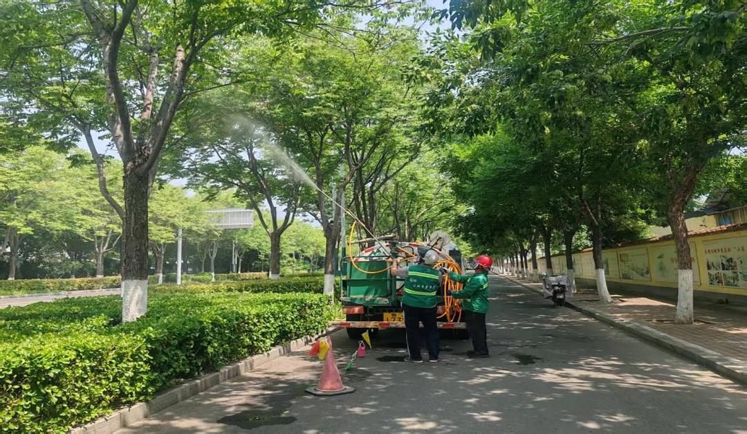 泰安：精准除蚜护绿 守护城市生态 - 图1