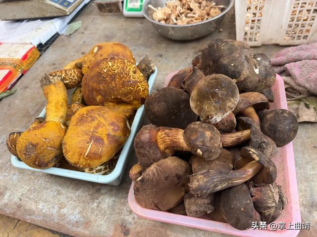 曲靖头水菌抢先上市！价格比去年划算 - 图3