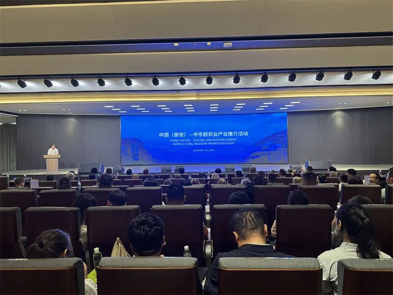 中国（泰安）—中东欧农业产业推介活动开启合作新篇章 - 图1