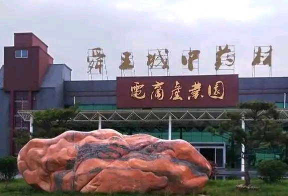 “全国17强”中的追赶者：鄄城舜王城，如何打破“夹缝中求生”困局 - 图1
