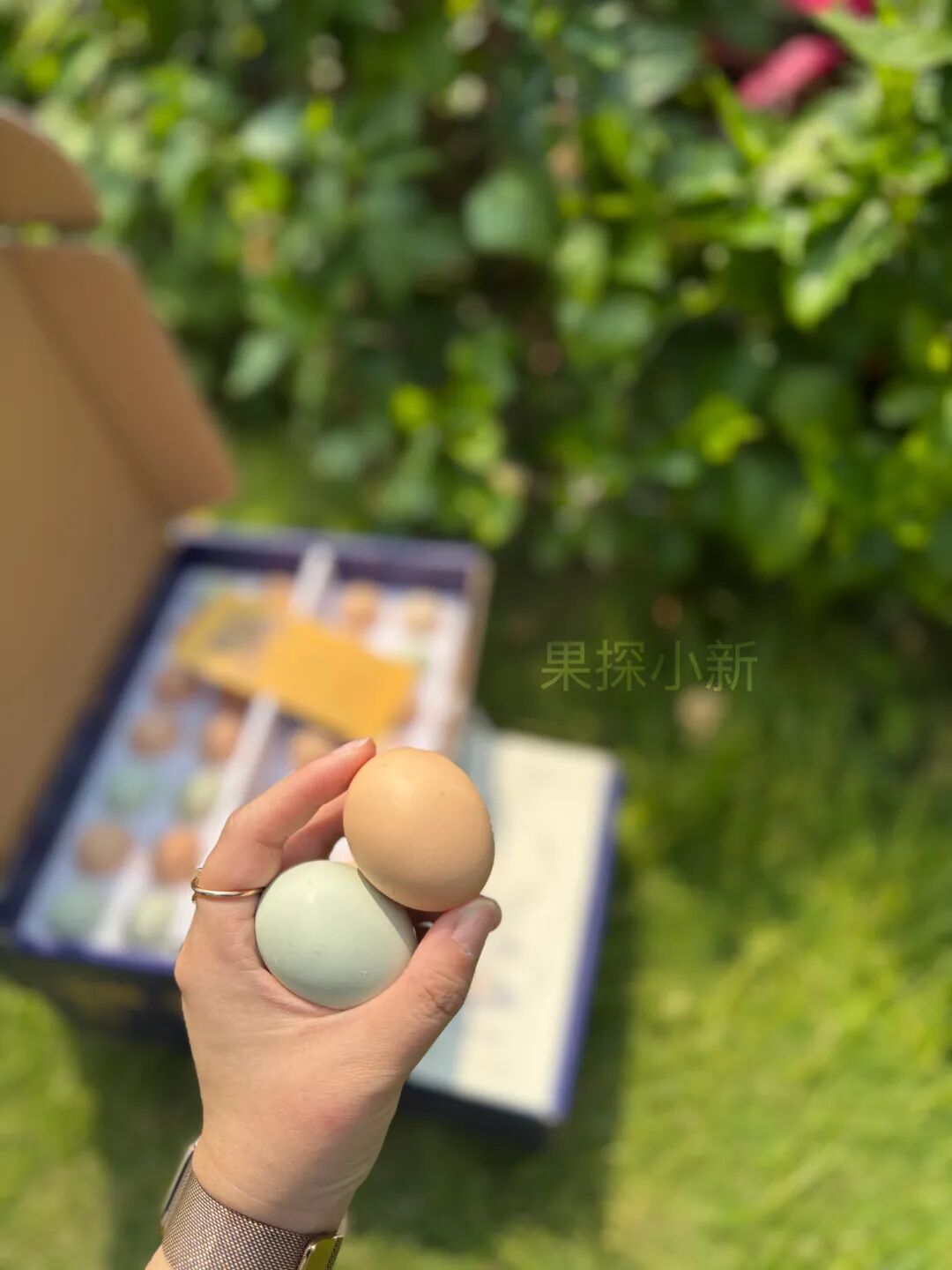 鸡蛋在冰箱里到底该放哪一层？我家原来一直放错了…… - 图6